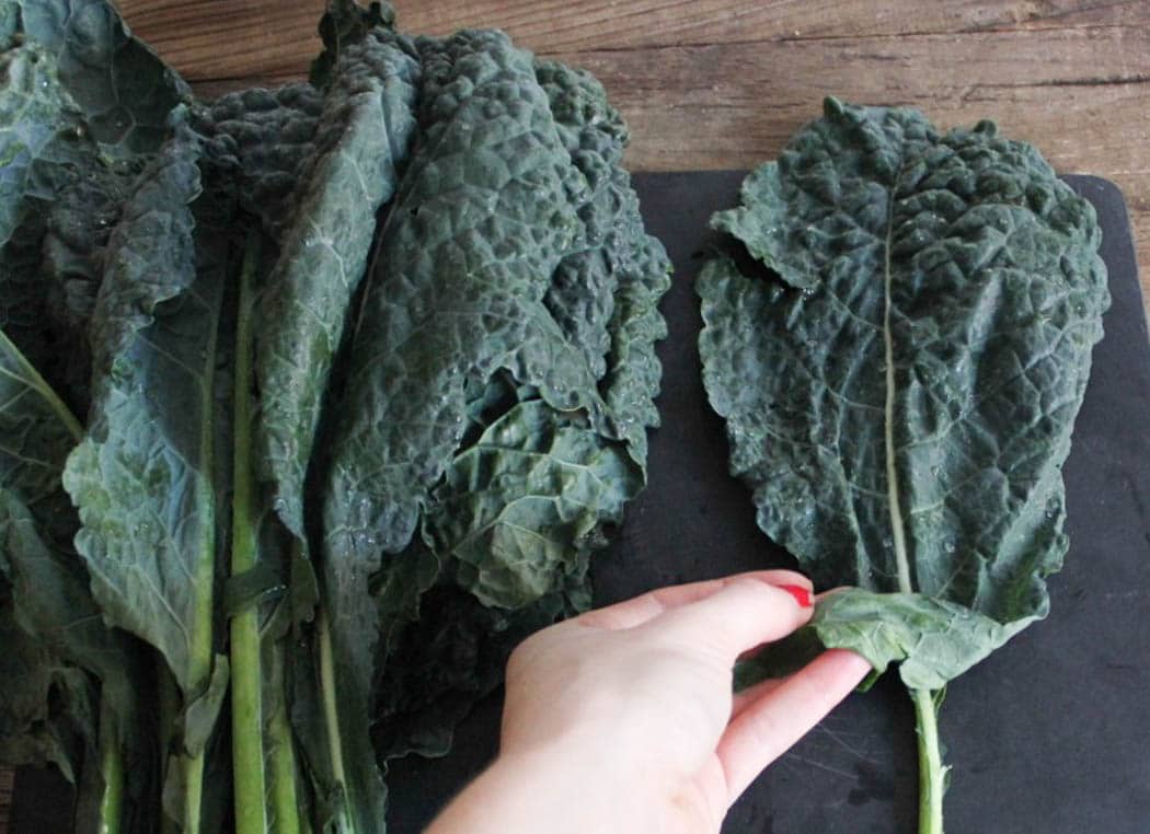 kale-salad-with-quinoa-cranberries-and-toasted-almonds-step-2